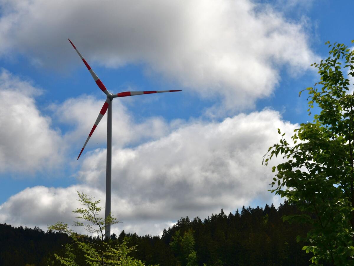 Windkraftanlage mit Wald